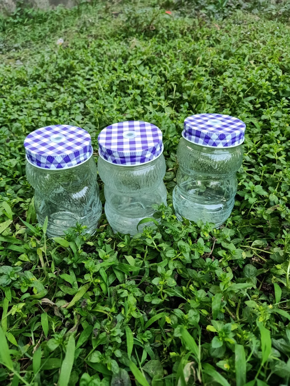 Bình nước,ly nước thủy tinh 380ml/450ml [ Hoàn Tiền Nếu bể vỡ khi nhận hàng ]