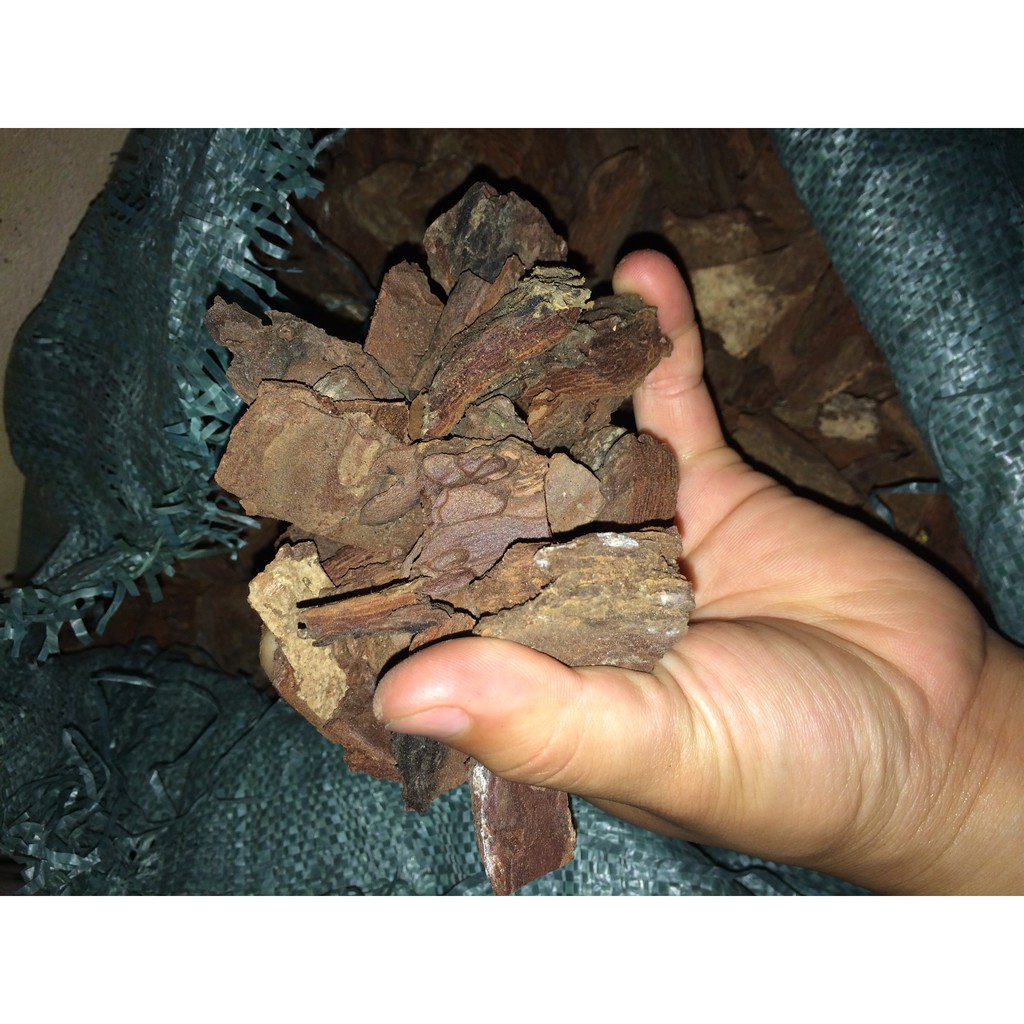 1kg Vỏ thông trồng hoa lan đã qua xử lý, nhiều loại kích thước dùng trồng hoa lan hồ điệp, phi điệp, lan kiếm