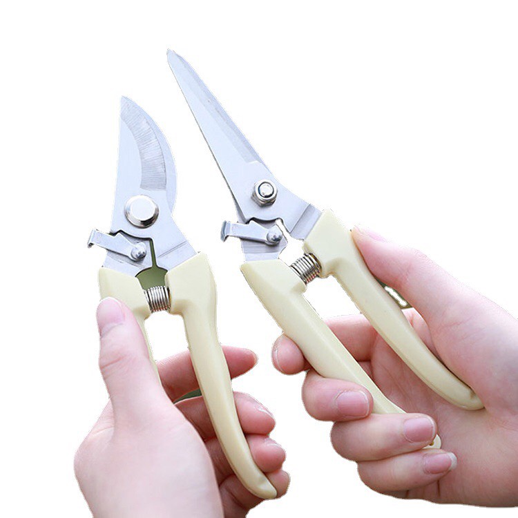 Kéo cắt cành, Kéo tỉa cành cây  C1
