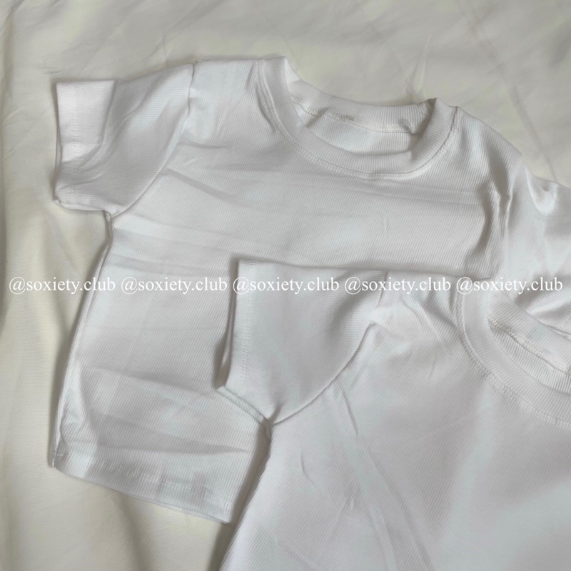Áo Thun Gân Basic ( A27 )