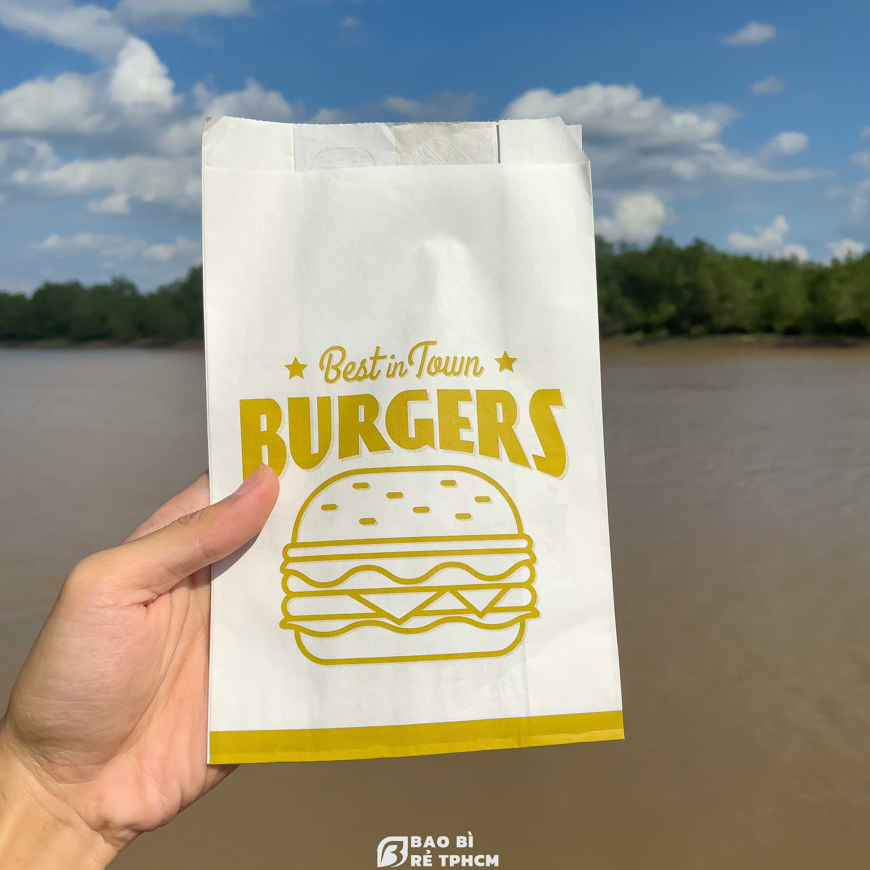 Túi Đựng Bánh Hamburger 100 Túi H1