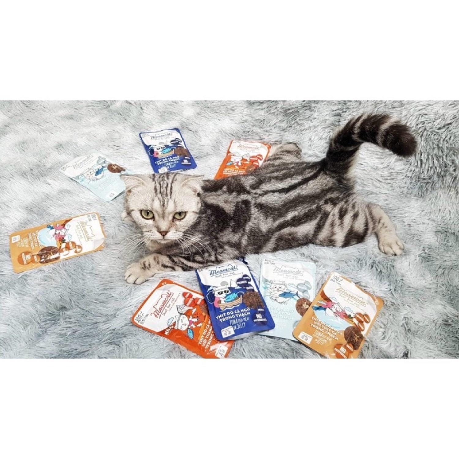 [ 70gr ] Pate Meowcat cho mèo 9 vị cực ngon 😻😻