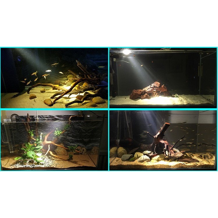 ĐÈN LED RỌI BIOTOP 5W CHO HỒ CÁ THỦY SINH