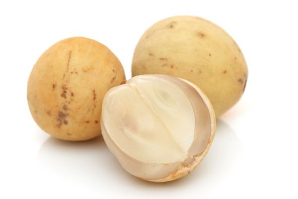 CÂY BÒN BON GHÉP ( GIỐNG GHÉP 1-2 NĂM, SIÊU TRÁI ).