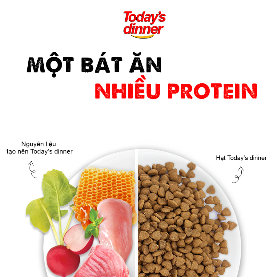 TODAY'S DINNER- Thức ăn hạt cho mèo mọi lứa tuổi gói dùng thử 40g