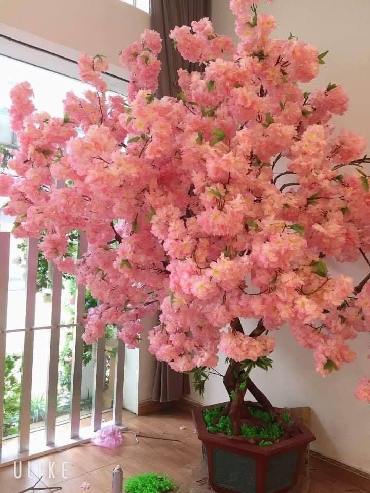 Set 5 cành Hoa Anh đào lụa độ dài 80cm hàng đẹp