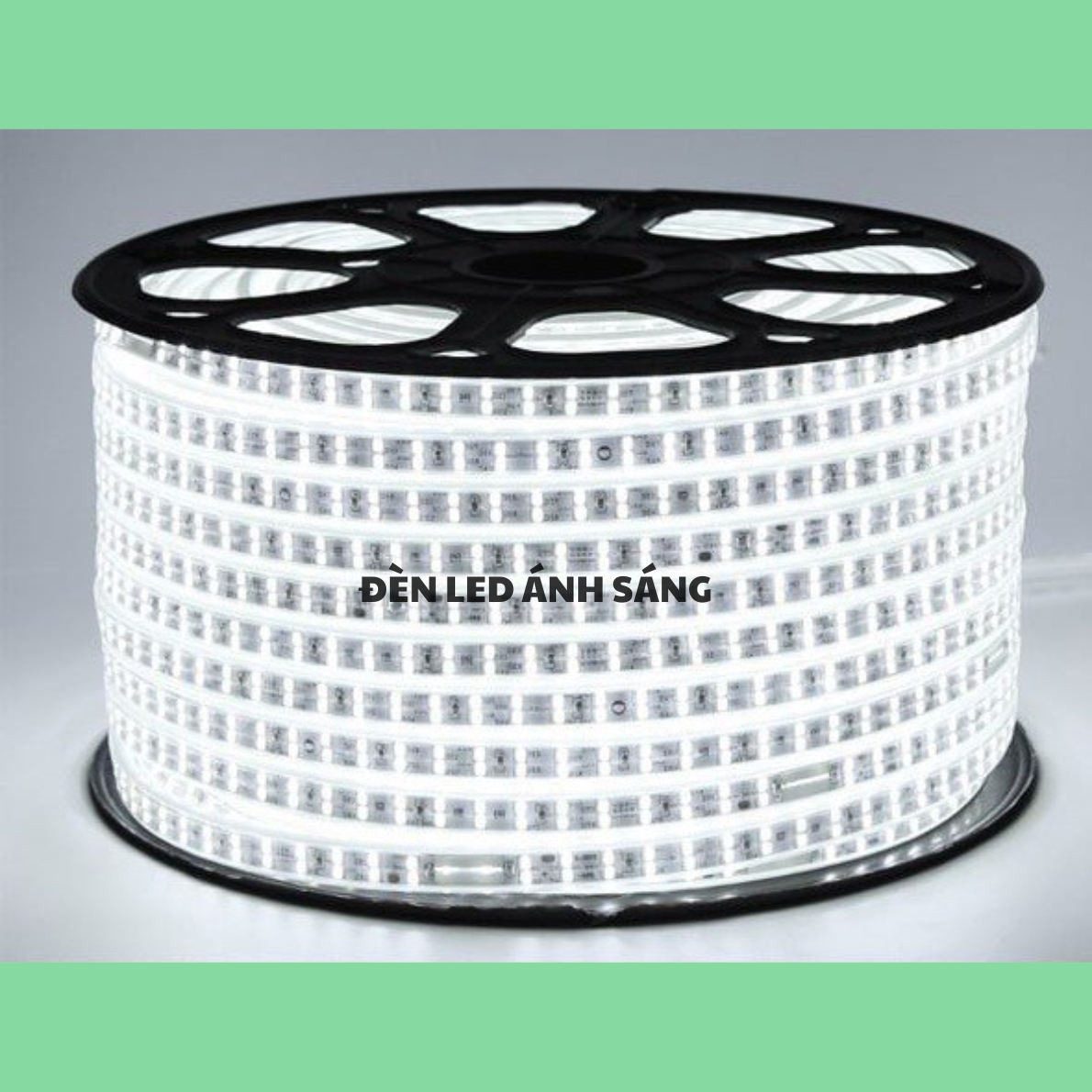 Dây LED đôi 2835 - 2 hàng bóng siêu sáng 5m - 10m