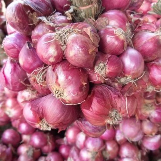 Hành Tím Lý Sơn (1kg)