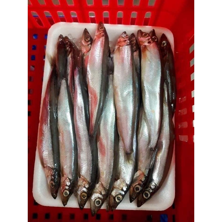 CÁ trứng vĩ 200gr (giao hoả tốc tphcm)