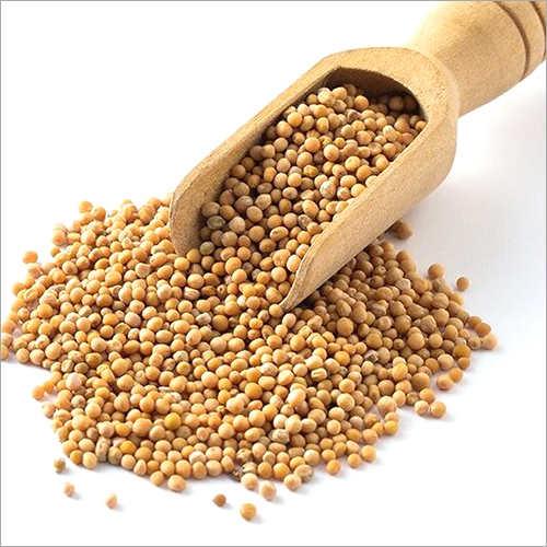 Hạt mù tạt vàng Ông Chà Và 500g (Túi) - (Mustard seeds)