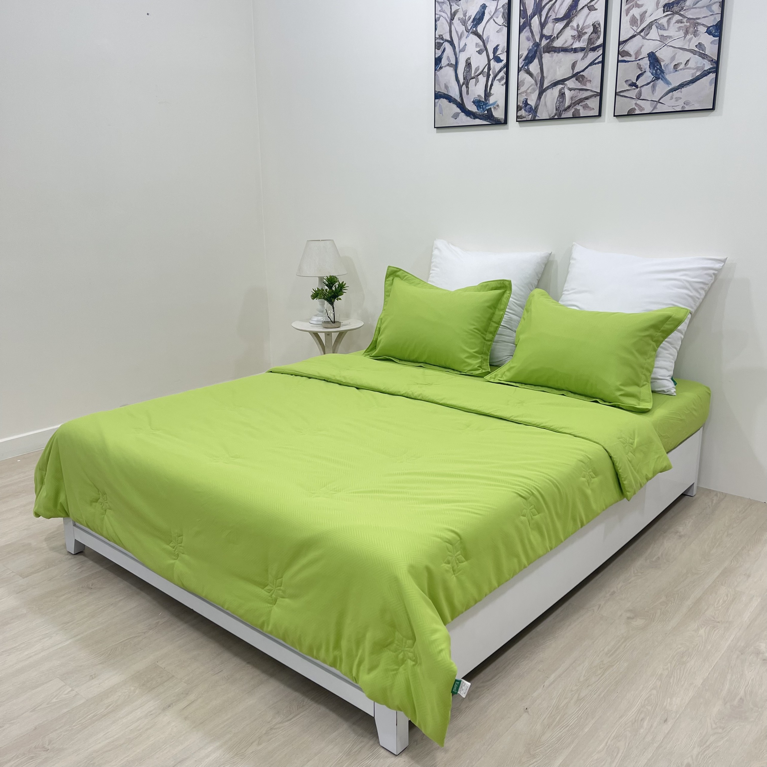 Trọn Bộ Ra Bọc Edena Basic Micro Silk mềm mịn