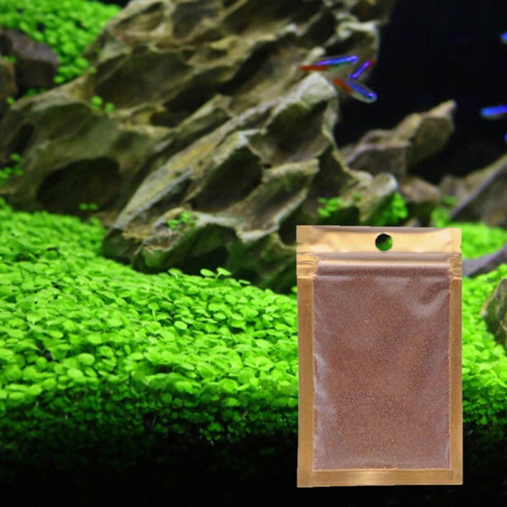 Hạt trân châu ngọc trai lá nhỏ