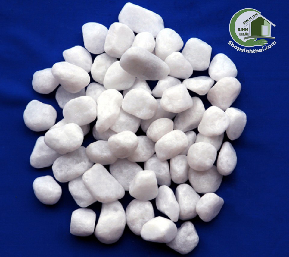[HCM]1kg đá sỏi màu trắng lớn - đá trang trí trồng cây - trang trí bể cá - sân vườn