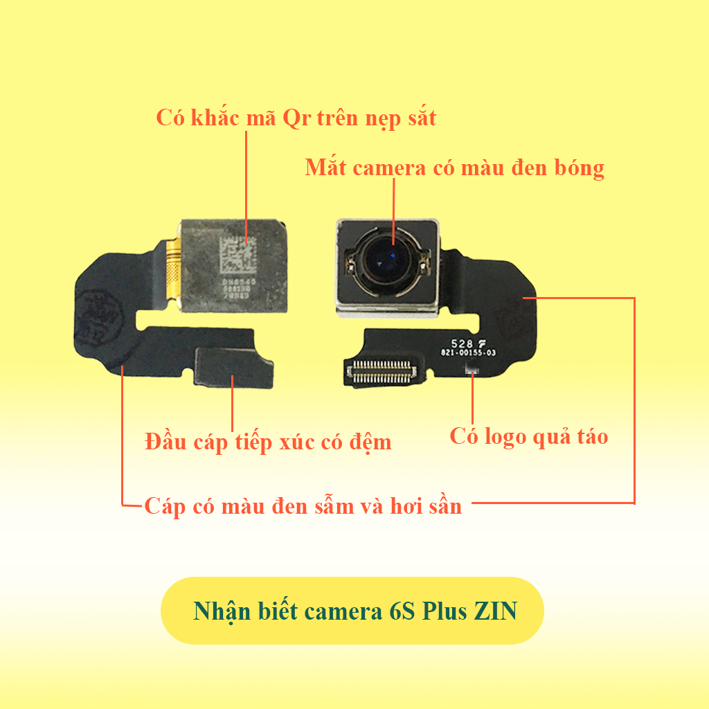 Camera sau 6G/ 6S/ 6 Plus/ 6S Plus ZIN BÓC MÁY
