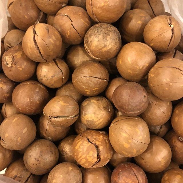 Hạt Macca Lâm Đồng - Đặc sản Đà Lạt 500GR