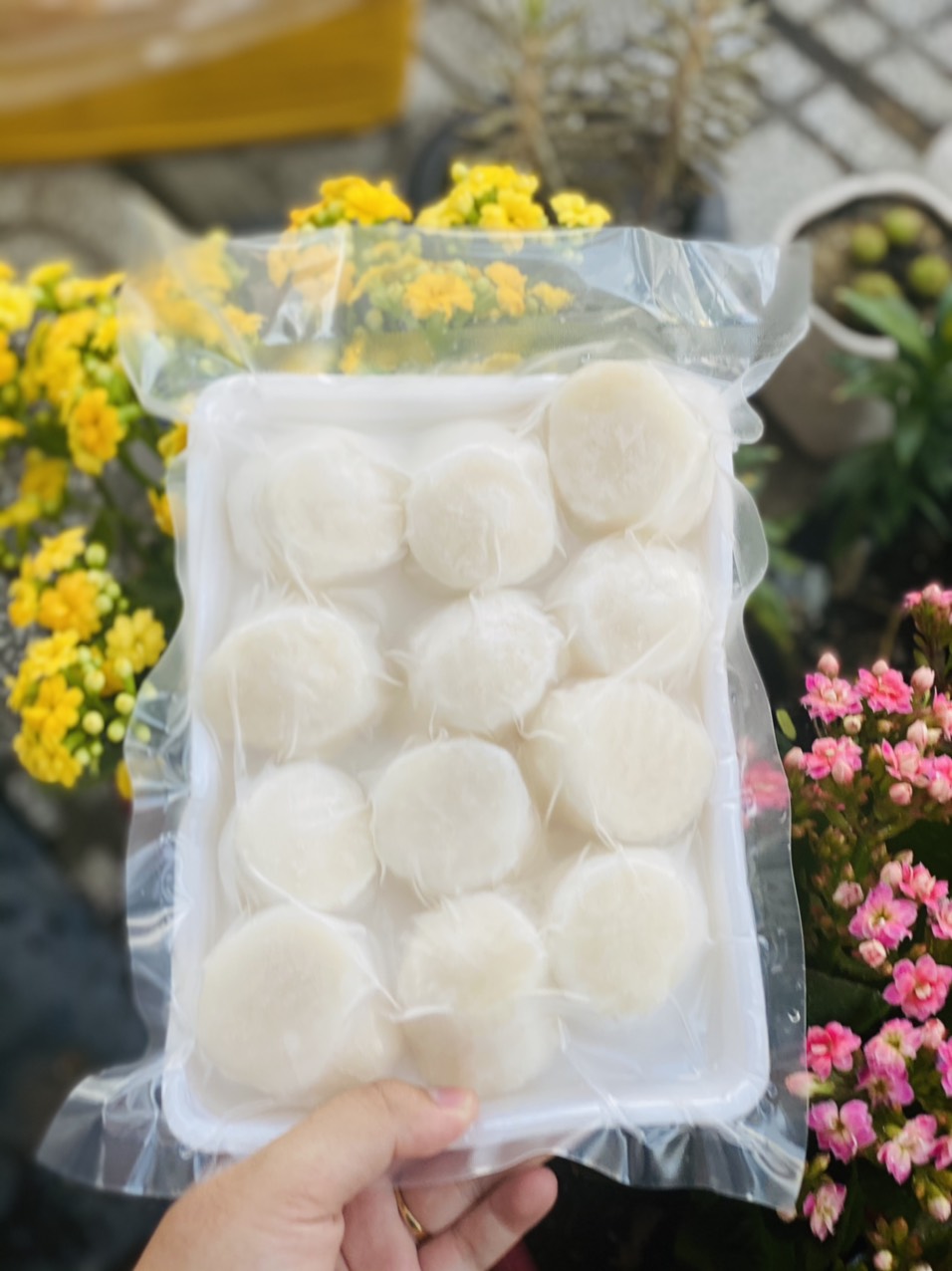 [GIAO NHANH 2H HCM] Cồi Sò Điệp Nhật - Size 30-35 (Giá sỉ 1Kg)
