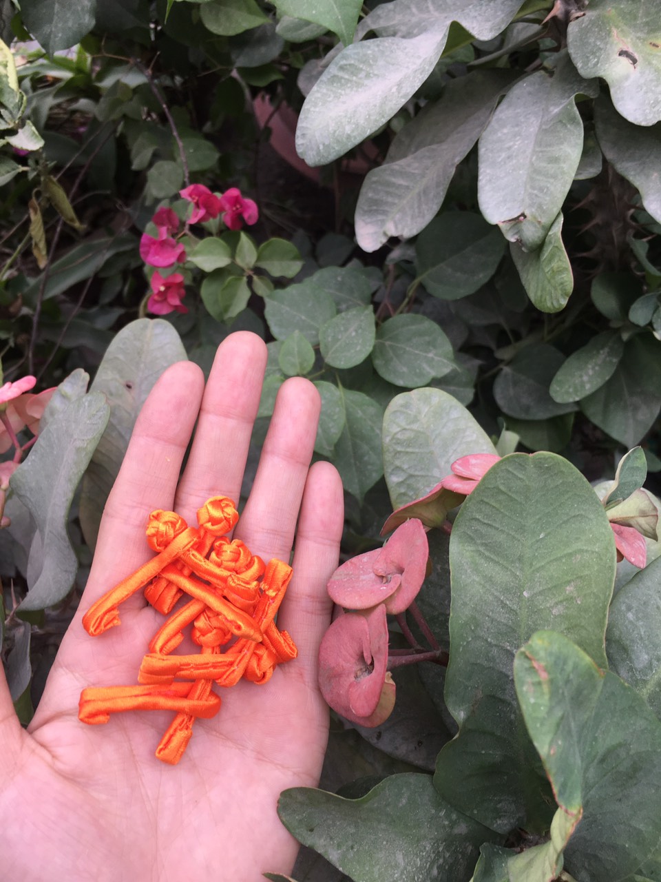 Set 10 Bộ Khuy/Nút tàu ngang