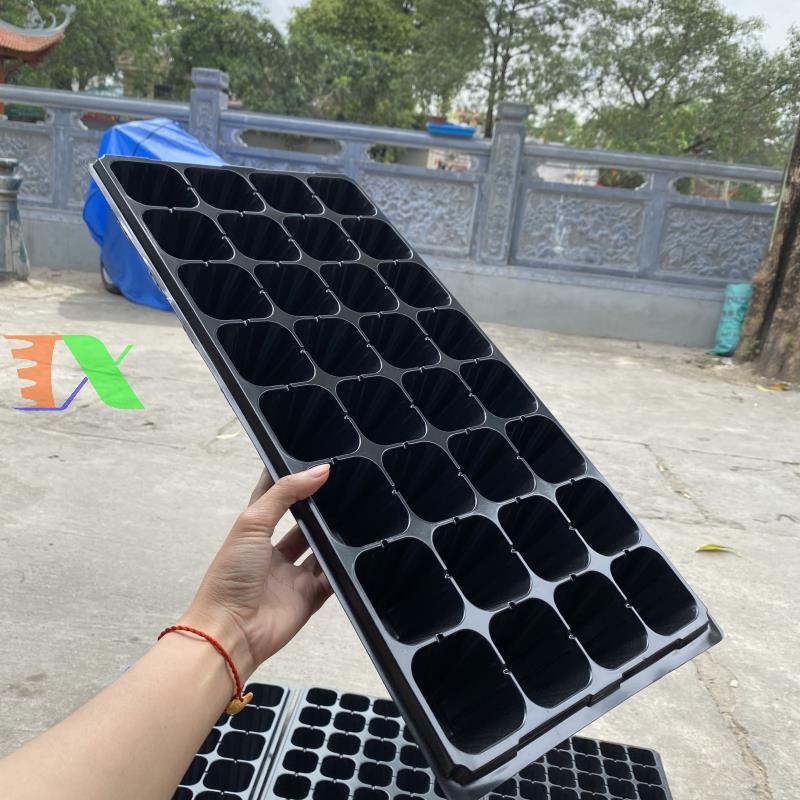 Bộ 5 khay ươm cây, khay ươm hạt, vỉ ươm (128 lỗ)(Đen)