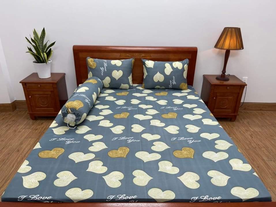 Ga trải giường lẻ thun lạnh hàn quốc nệm cao 3-15cm