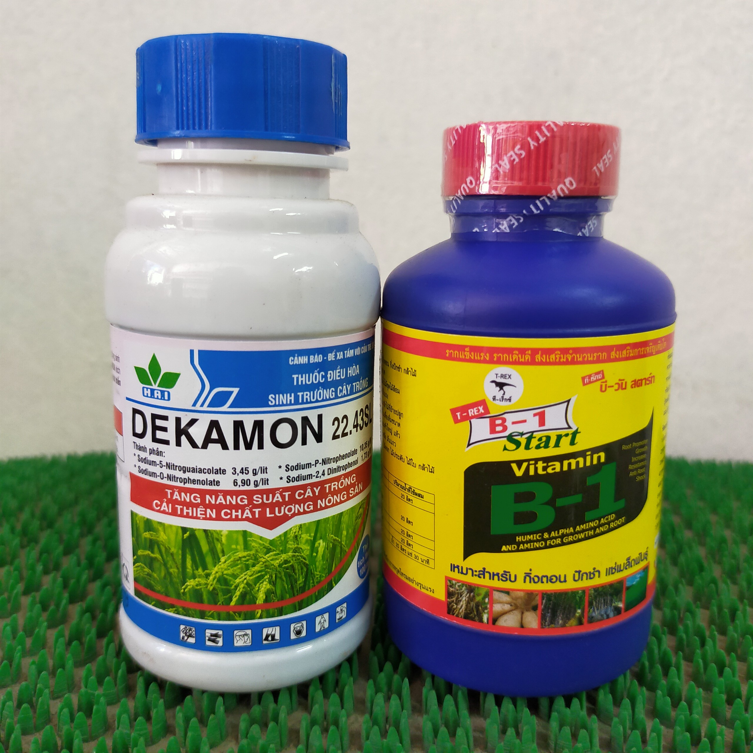 Combo B1 thái kích rễ + Dekamon kích thích ,điều hòa sinh trưởng cây trồng