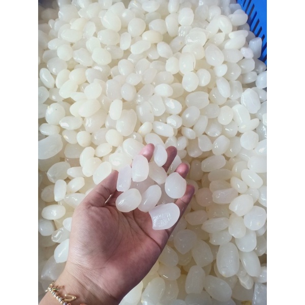 Hạt Đác tươi Nha Trang 1kg (giao tphcm)