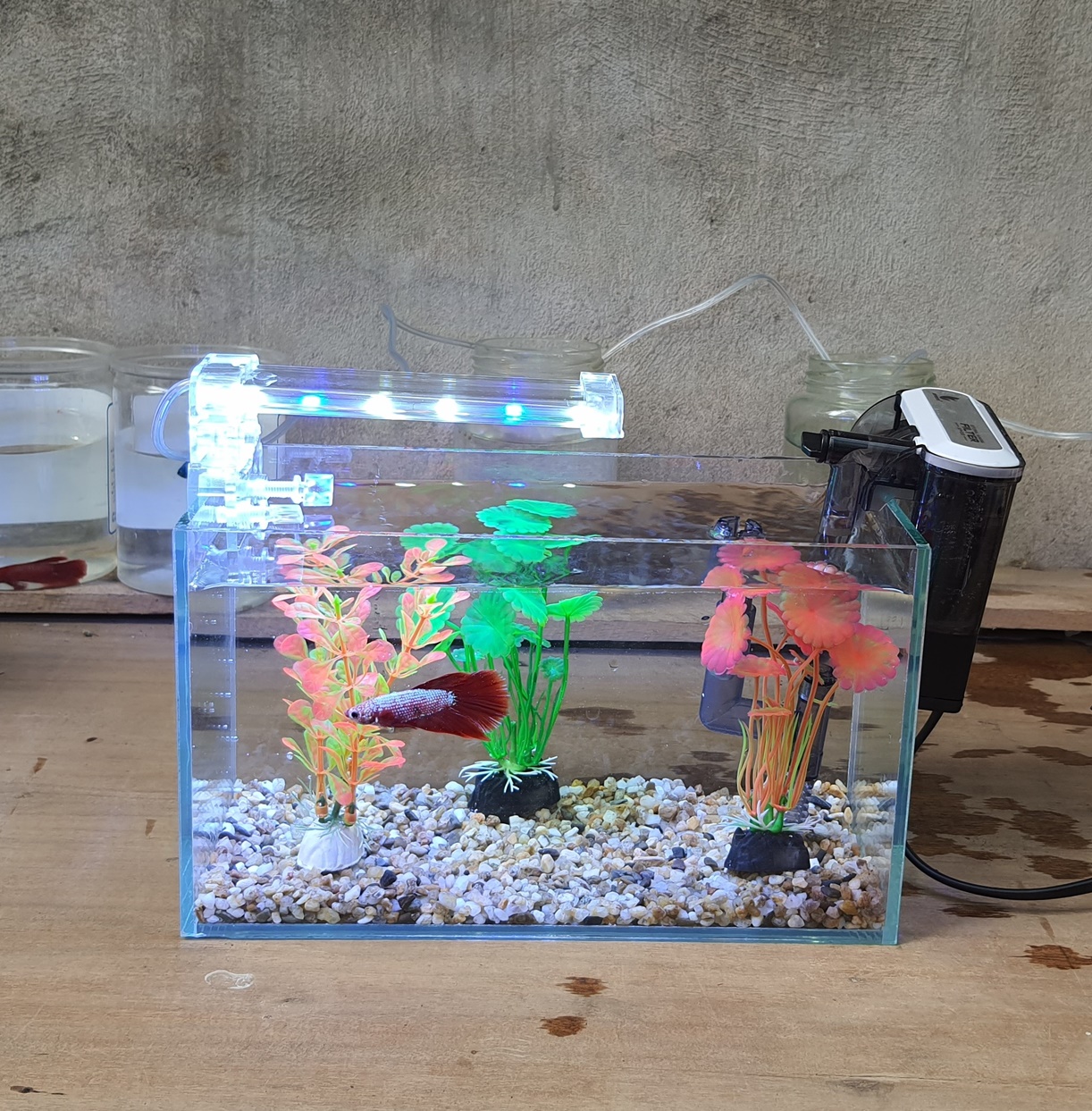 Bể cá mini 24 cm với 5 món (bể 24, sỏi nền, máy lọc, 3 cây nhựa mini, led 4w)