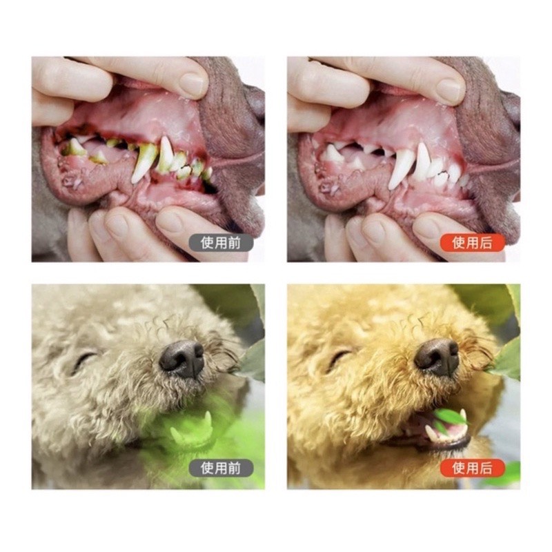 🦷 Xịt Khử Mùi răng miệng cho Chó Mèo -70 Present 120ml 🦷