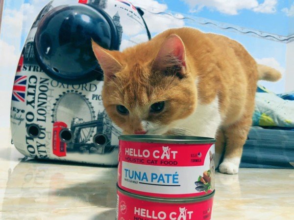 Pate cho mèo Hello Cat lon 190g