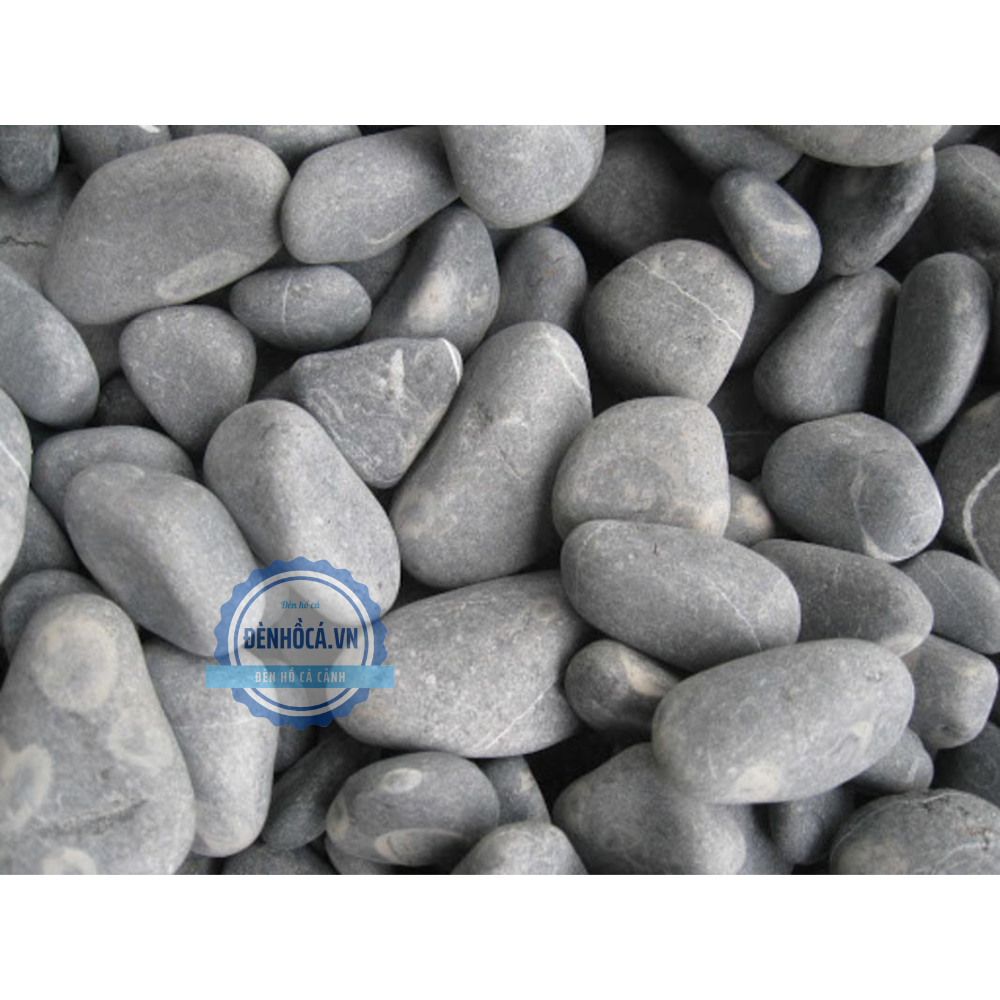Sỏi trang trí hồ cá mini