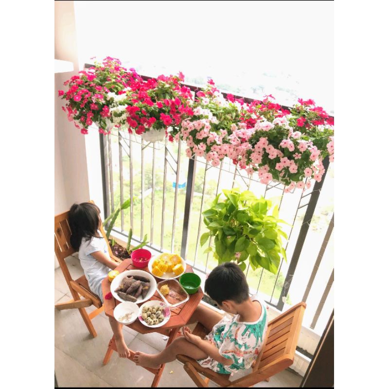 Ghế gỗ tràm gấp gọn cho chill ban công , sân vườn , phòng khách