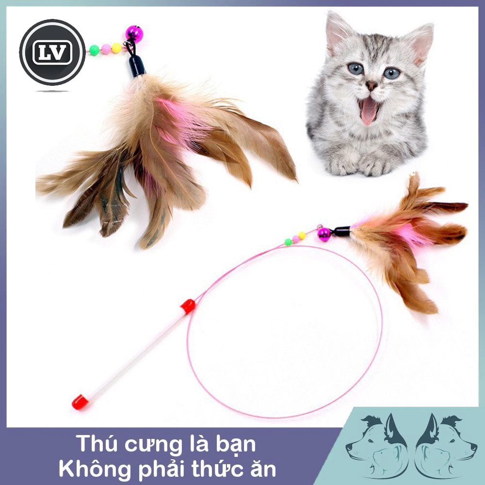 Đồ Chơi Cho Mèo  Cần Câu Mèo Bằng Thép Gắn Lông Vũ Dành Cho Mèo