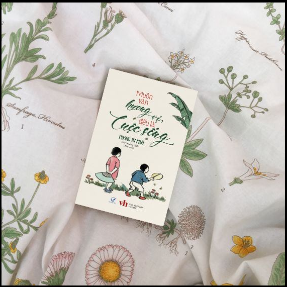 Lịch Sử Của Sách (What Is The History of The Book ?)