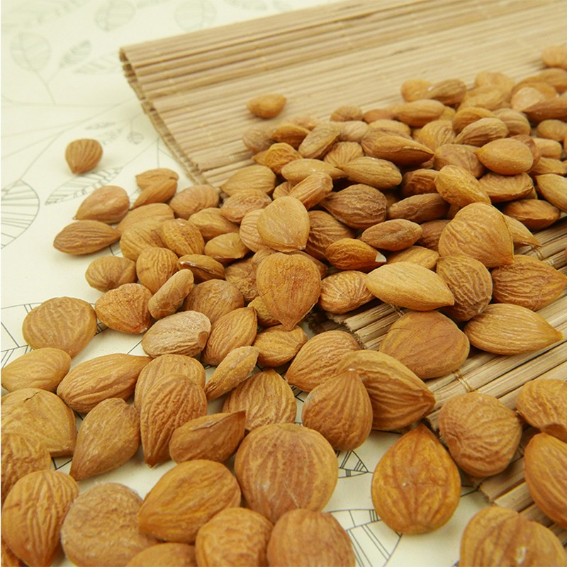 Nhân Hạt Mơ Hữu Cơ - Organic Apricot Kernels