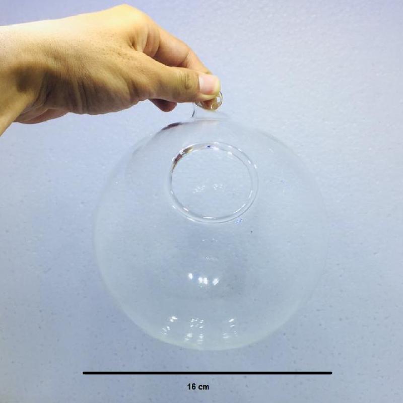 Chậu thủy tinh treo hoặc nuôi cá 16cm