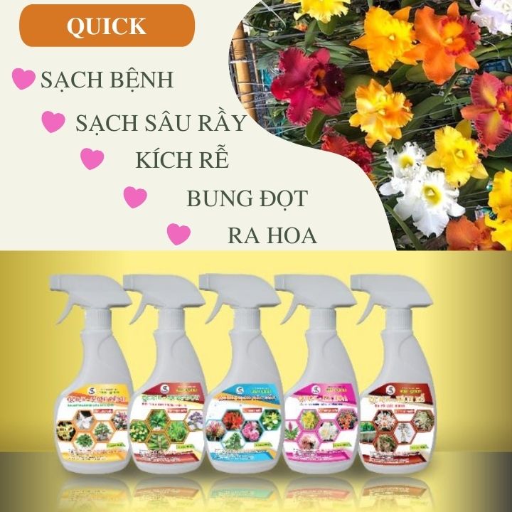 QUICK - KÍCH RỄ Chai 500ml: RA RỄ CỰC MẠNH