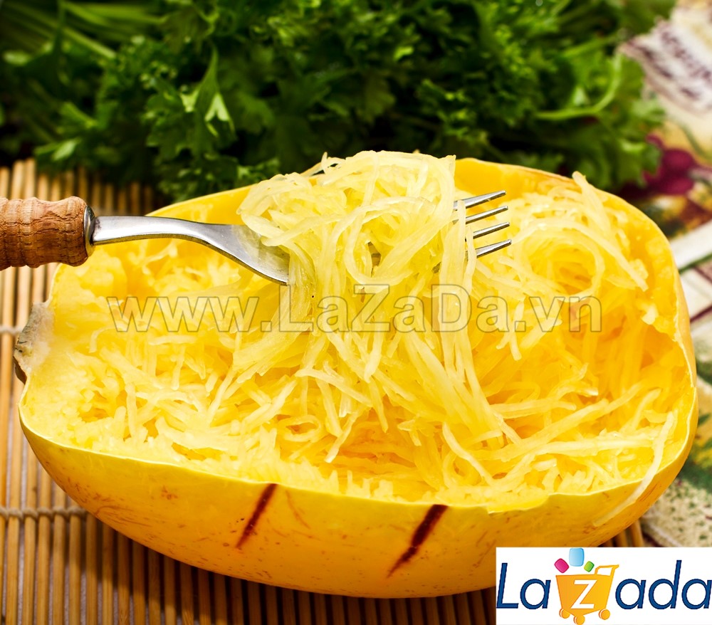 50GR 300.HẠT Hạt Giống Bí Sợi Mì Ý Spaghetti (| C38A*W44)