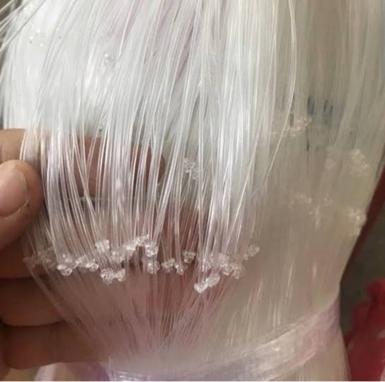 Lưới cước trắng làm giàn leo bầu, bí, mướp, dưa