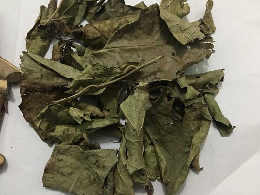 Tree La black 500g