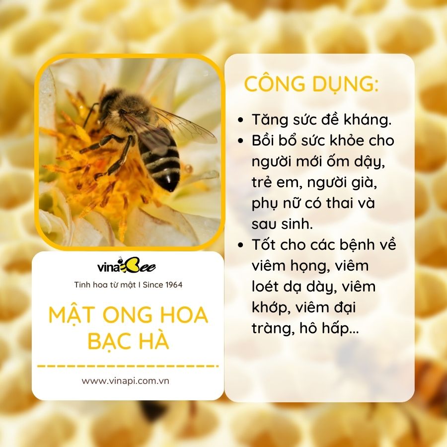 Mật ong hoa bạc hà Vinabee 500g