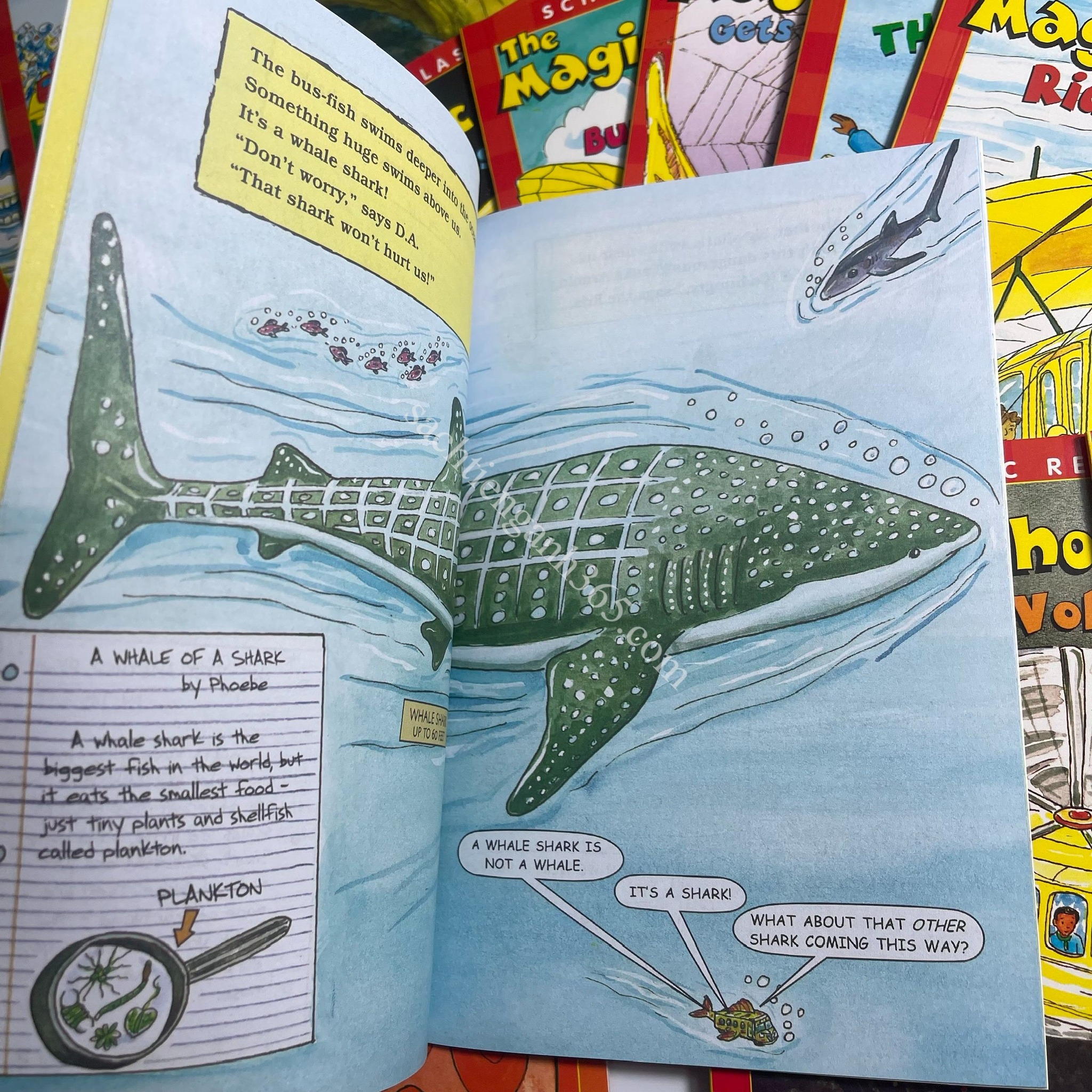 The Magic School Bus: Science Readers Box (Level 1+2) - 23q + AUDIO  | Nhập Khẩu