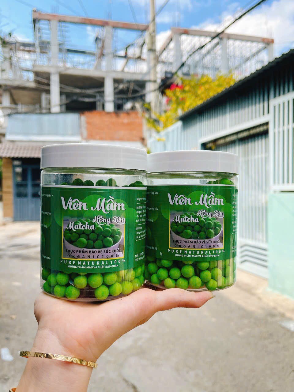 Viên Mầm Hồng Sâm Matcha - Hộp 500Gam
