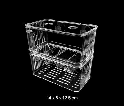 Bể cá mini, bể cho cá ấp trứng mini 2 ngăn