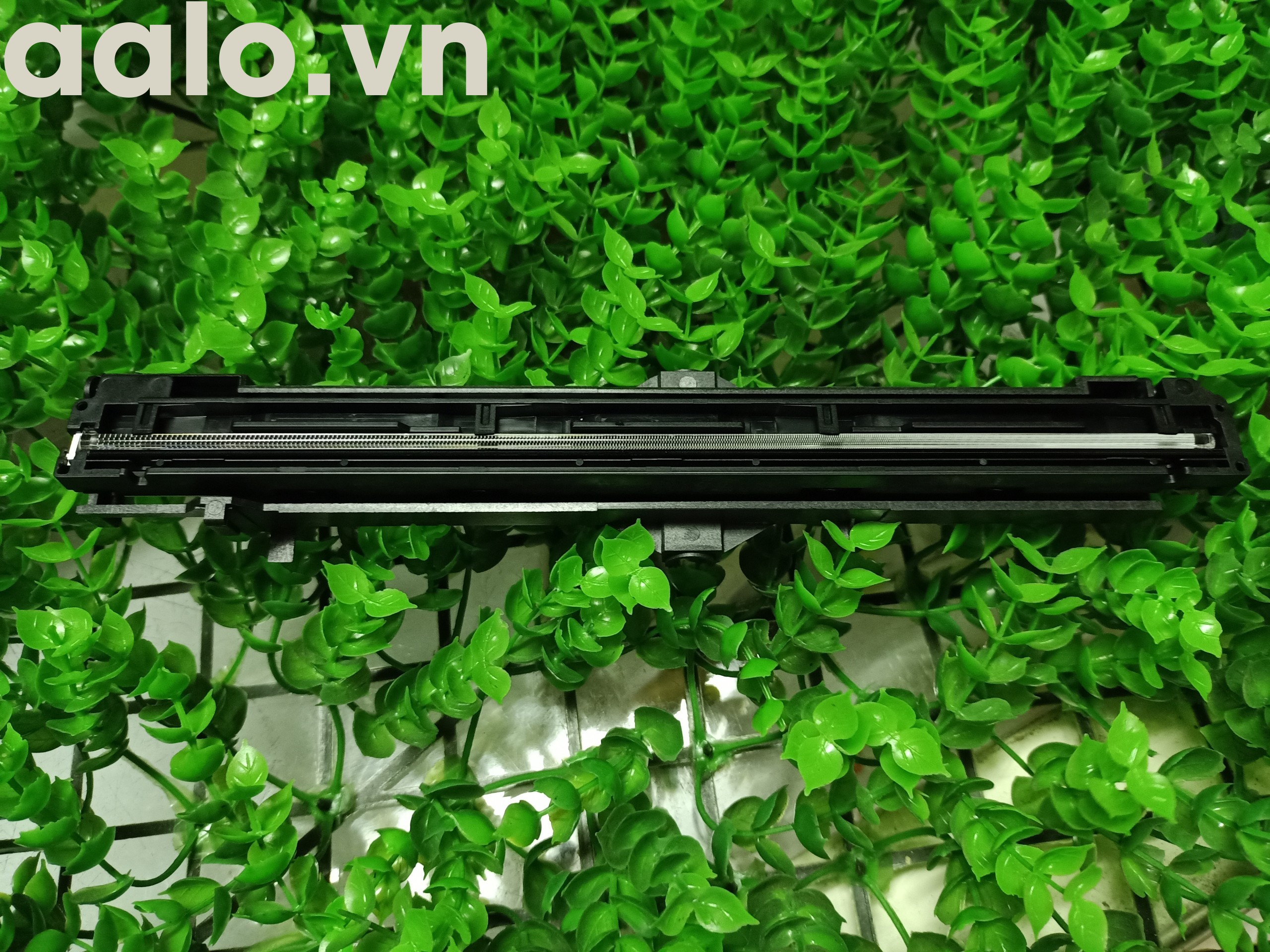 ĐÈN SCAN MÁY IN CANONN MF241D, MF244DW