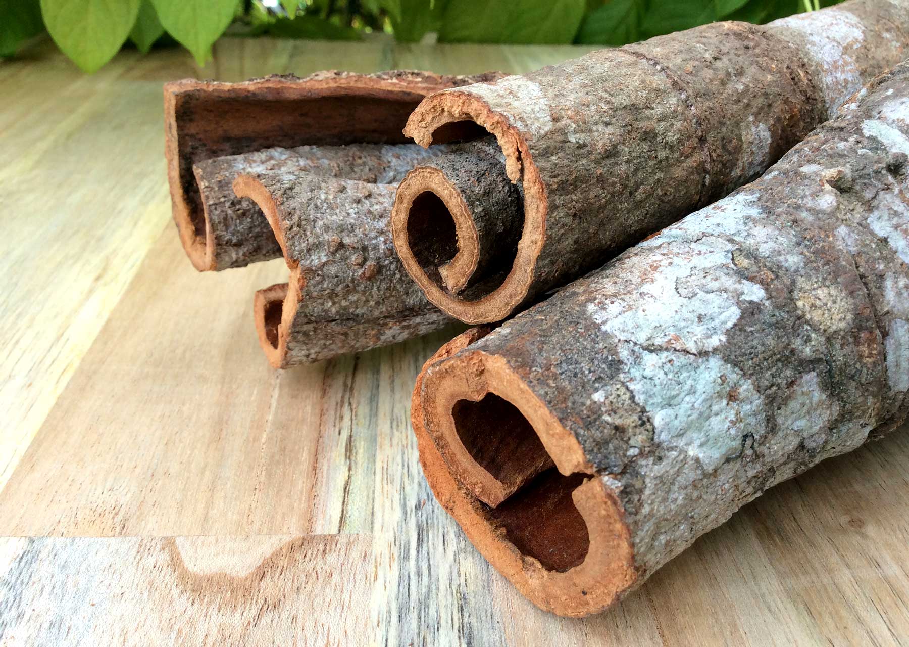 Quế Cay Ông Chà Và 15g