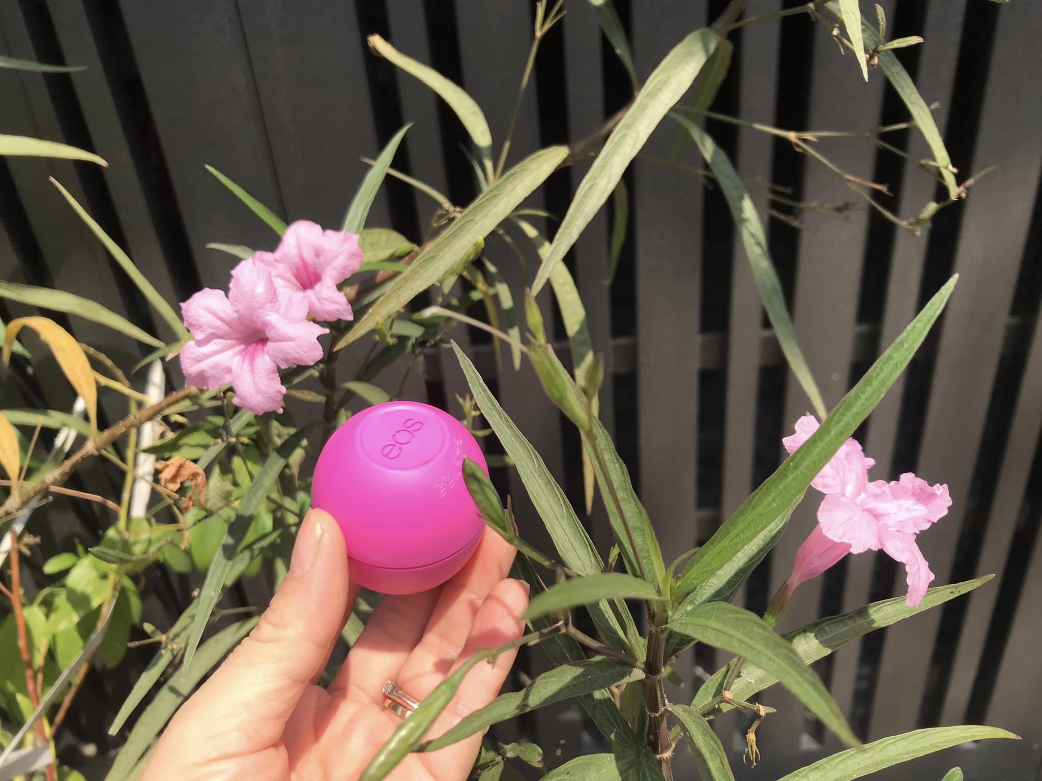 1 Son trứng EOS dưỡng môi 25 gam