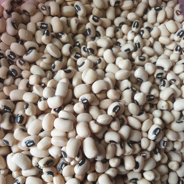 2KG ĐẬU TRẮNG BI (hạt)