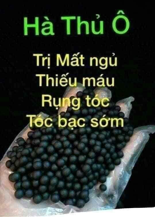 VIÊN HOÀN HÀ THỦ Ô MẬT ONG 500g