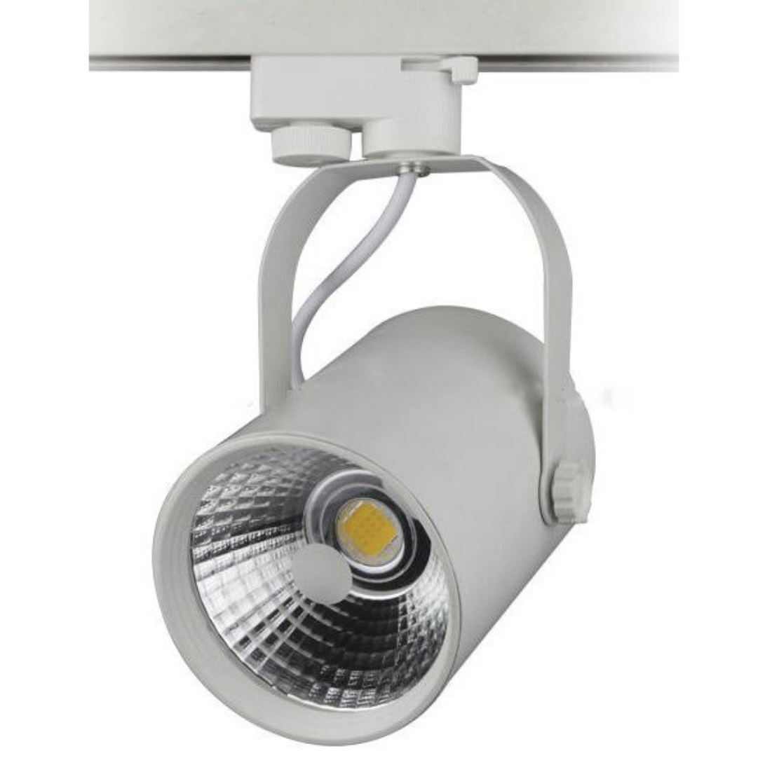 Đèn Rọi Ray COB 12W