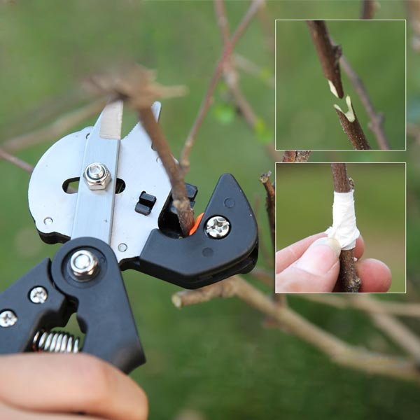 [HCM]Kéo ghép cành cây chuyên dụng