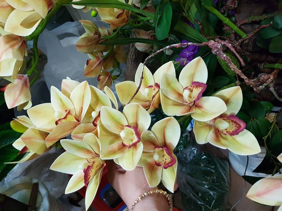 SET 10 CÀNH HOA ĐỊA LAN NHIỀU MÀU